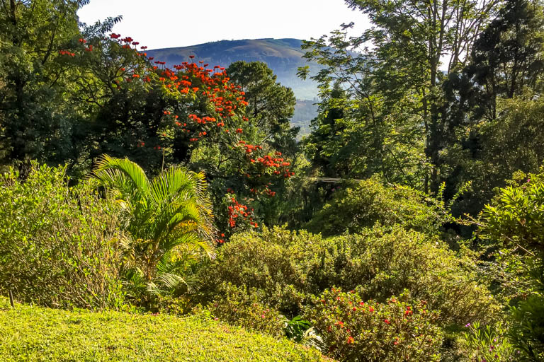 Porcupine Ridge Guest Lodge - Gallery