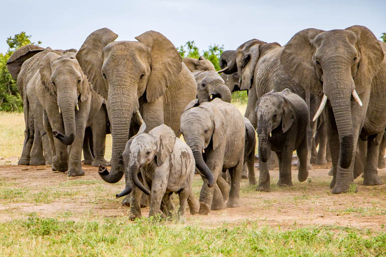 Porcupine Ridge Guest Lodge - Gallery